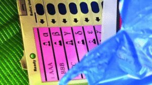 1758151733 unnamed file.jpg