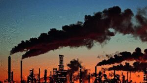 1758155250 unnamed file.jpg