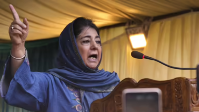 1758221695 unnamed file.jpg