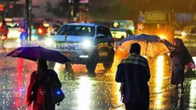 1758239022 unnamed file.jpg