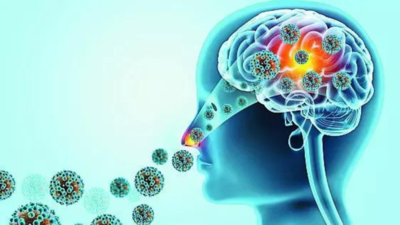 1758250241 unnamed file.jpg