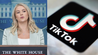 1758404965 untitled design 1.jpg