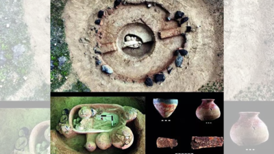 1758508249 article 64.jpg