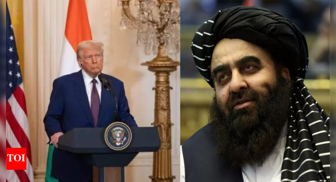 1758513325 photo.jpg