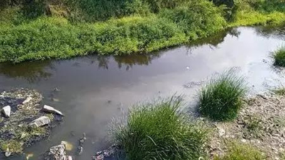 1758594448 article 88.jpg