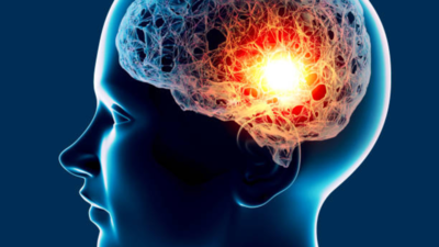 1758637681 file image.jpg