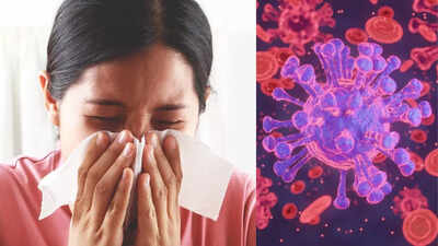 1758652295 credits canva.jpg