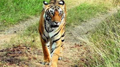 1758672391 unnamed file.jpg