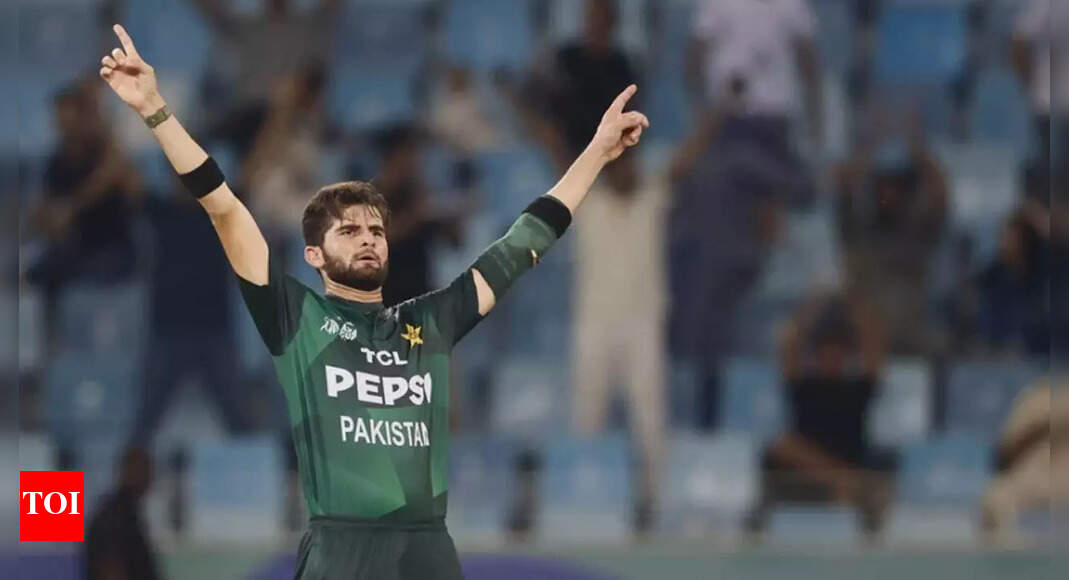 1758709845 photo.jpg