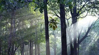 1758846287 unnamed file.jpg