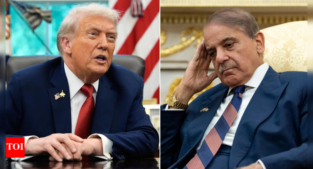 1758872739 photo.jpg