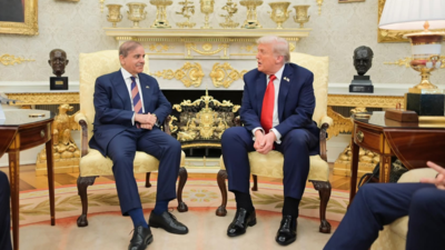 1758876434 unnamed file.jpg