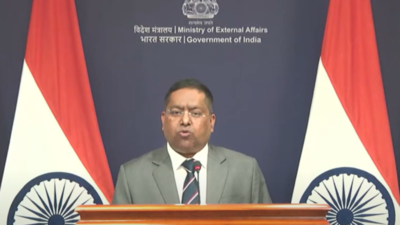 1758888392 article 40.jpg