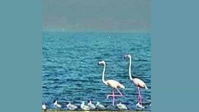 1759009464 unnamed file.jpg