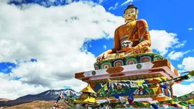 1759009678 unnamed file.jpg