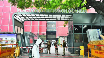 1759099345 unnamed file.jpg