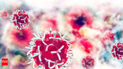 1759099942 unnamed file.jpg