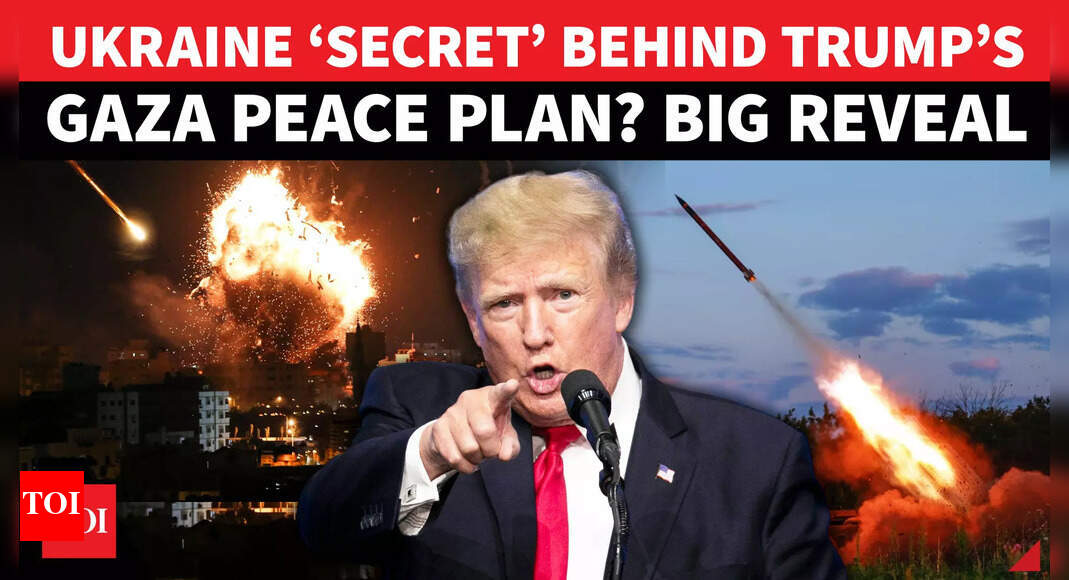 1759241284 photo.jpg