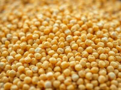 Ai photo for representation.jpg