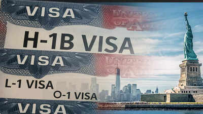 Alternatives to h 1b visas.jpg