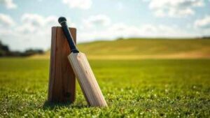 Bat and stump on cricket field.jpg
