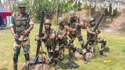 Bsf personnel file ani.jpg