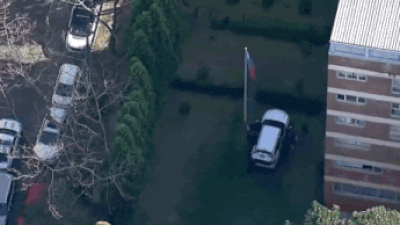 Car crashes into russian consulate in australia.jpg