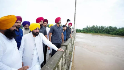 Cm mann raps centres 1600 cr punjab flood relief compares it with afghanistan aid.jpg