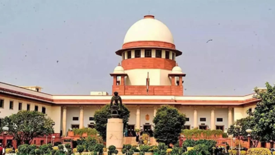 Echs facility for cadets disabled during military training centre to sc.jpg