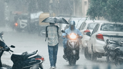 Heavy rains lash delhi.jpg