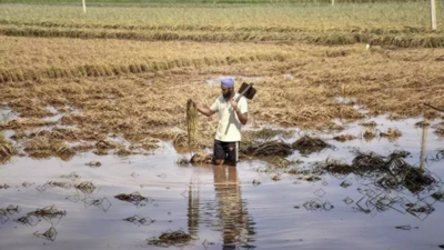 Intellectuals writers artists farmer groups condemn vilification of migrant workers in punjab.jpg