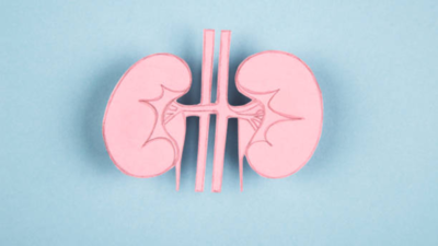 Kidney health and potassium why too much or too little can be risky.jpg