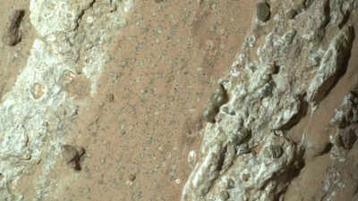 Life on mars nasa rover discovers strongest sign of life on mars to date all you need to know.jpg