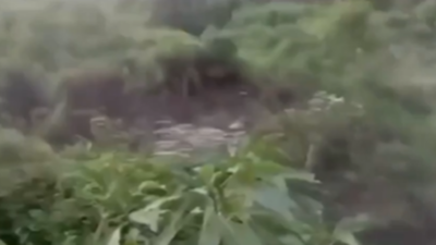 Massive hill collapse near chaukar village.jpg