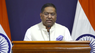 Mea spokesperson randhir jaiswal pti.jpg