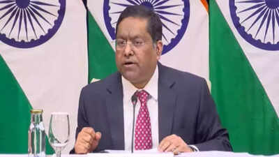 Mea spokesperson randhir jaiswal.jpg