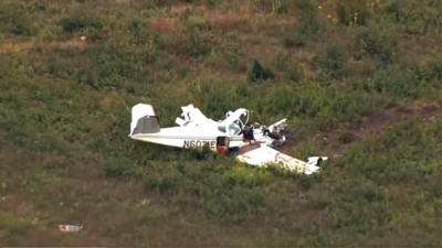 Minnesota plane crash pic credit x.jpg