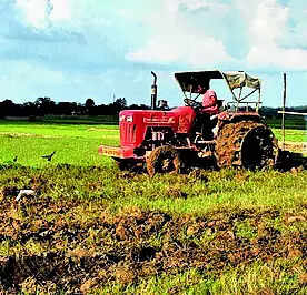 Msid 123709176imgsize 27460.cms .jpeg