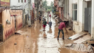 Patiala boy dies after drowning in ambala missing man found dead two brick kiln labourers washed awa.png