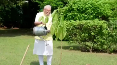 Pm modi planting the sapling ani.jpg