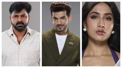 Rise and fall contestants list.jpg