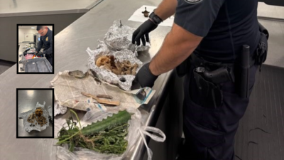 Skull in a suitcase florida airport agents uncover human remains during baggage check.jpg
