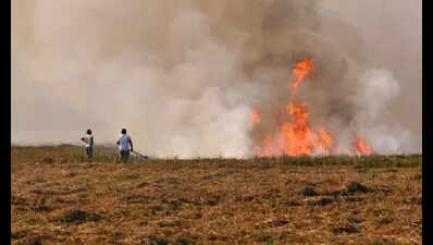 Stubble burning returns 48 fires 8 firs 13 red entries in just 5 days rs 1l environmental compensati.jpeg