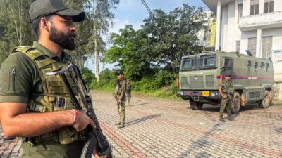 This is a representative image pic credit ani.jpg