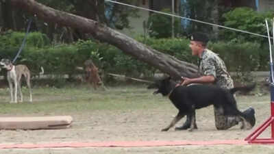 Untitled design 2025 09 25t164753170.jpg