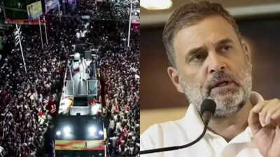 Untitled design 2025 09 28t170543940.jpg