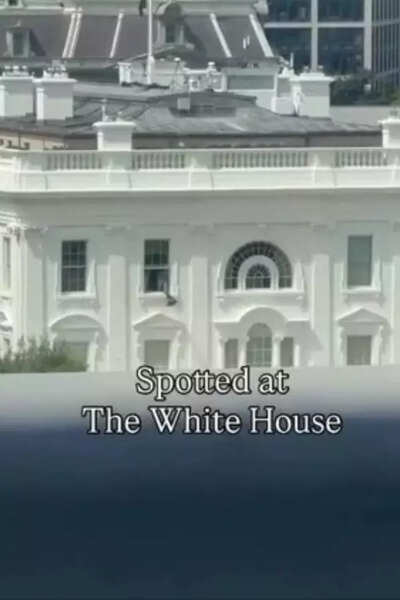 Viral video mysterious trash bag thrown out from white house.jpg