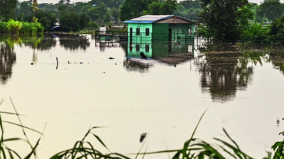 Yamuna floodwaters swamp noidas luxury farmhouses pools lawns banquet halls submerged.jpg