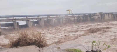 Yamunanagar administration steps up flood control measures issues safety appeal to residents.jpg