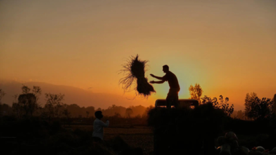 1759301792 unnamed file.jpg